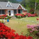 산내들펜션 이미지