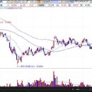[ 한국가스공사-증권정보채널] 2009년 7월21일 한국가스공사(036460) 분석 ,투자전략 이미지