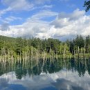 포토나래 나무나라 작업장 | [day4_삿포로] 팜토미타(라벤더축제)-사계채의 언덕-청의 호수-흰수염폭포 > 오비히로 이동