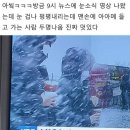 고양이나라 이미지