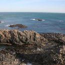 양남주상절리 이미지