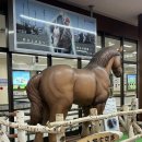 장수온천호텔 | [일본 오비히로] 2월 여행후기 | 2박3일 준비 일정 총정리+호텔/맛집(내돈내산)