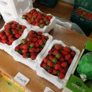 현창농장 이미지