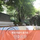 산호동247 이미지