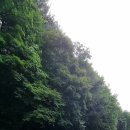 들꽃팬션 앞 이미지