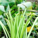 해순농장 이미지