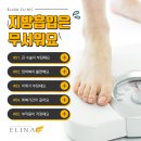 엘리나의원 이미지