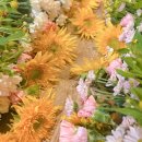 플라워가 주는 작은휴식 힐링플라워 이미지