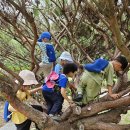 숲놀이(7/4주 ; 유두절칼국수, 구슬만들기/물놀이/신라이야기할머리/도롱뇽 송사리 다슬기잡기/물놀이터만들기/콩벌레관찰/나뭇잎상상그림 이미지