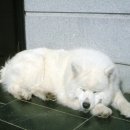 한비 이미지