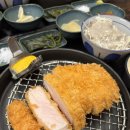 신사-101 | 강남 직장인 점심 맛집 추천! 신사역 키세카츠 일본식 돈까스 후기