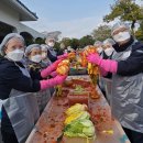 신화1호 이미지