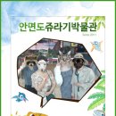 안면도쥬라기박물관 이미지