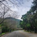 용문정 앞 이미지