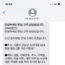 한섬수선 이미지