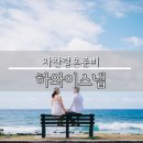 찬결혼준비8 : 하와이스냅 견적 받고 선택하기(르씨엘,제이유,먼데이모닝,하와이동네사진사,헤븐리데이 등)