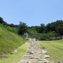 해솔초 정문 횡단보도 서측 | 문화비축기지
