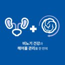 헤어힐스 - 전주시 덕진구 | 헤어힐스