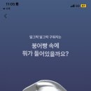 댕스데이 네이버블로그