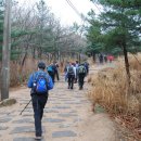 트레일(Trail) 이미지