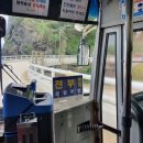 자연애 선펜션 이미지