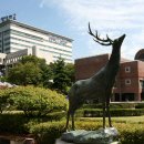 상명대학교 이미지