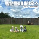 빵순돌이네 하우스 네이버블로그