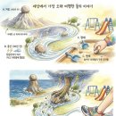 홍익여행(주)