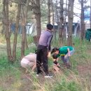 솔방울 펜션 이미지