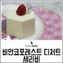 비안코 포레스트 이미지