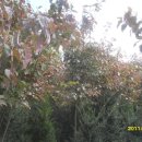 전의농장 이미지