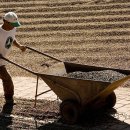 명기농장 이미지