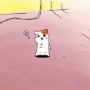 미뇽실 | 웨딩 준비 DVD 업체 비교 후 계약후기(르랑필름,코지레코드,필름미뇽,룩어라운드필름,류필름,화이트모티브)