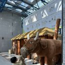 가족뮤지컬<아기돼지삼형제> | 통진두레문화센터 가족뮤지컬 아기돼지삼형제 후기