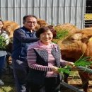 만희농장 이미지