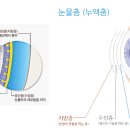 소들한의원 이미지