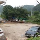 새터민박 이미지