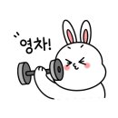 베리애견미용 이미지