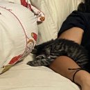 나주면옥 이미지