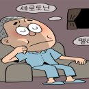 더감성 이미지