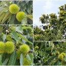 성사동 권희선생묘 이미지