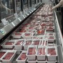 코스트코 홀세일 김해점 이미지