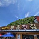 부흥밥집 | [강원도 동해] 동해 여행(부흥횟집/묵호287/묵호항 오징어회 시세)
