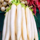 백석동물병원 이미지