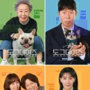 도그데이즈