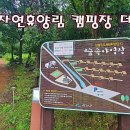 성불산자연휴양림 캠핑장 이미지