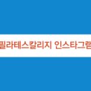 필라테스칼리지 티스토리