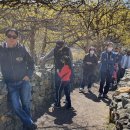 이천산수유마을 이미지