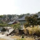 메리야스총판 Daum카페