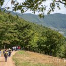 고유포레스트